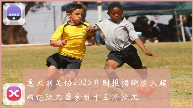 意大利足协2025年财报揭晓收入超两亿欧元盈余近十五万欧元